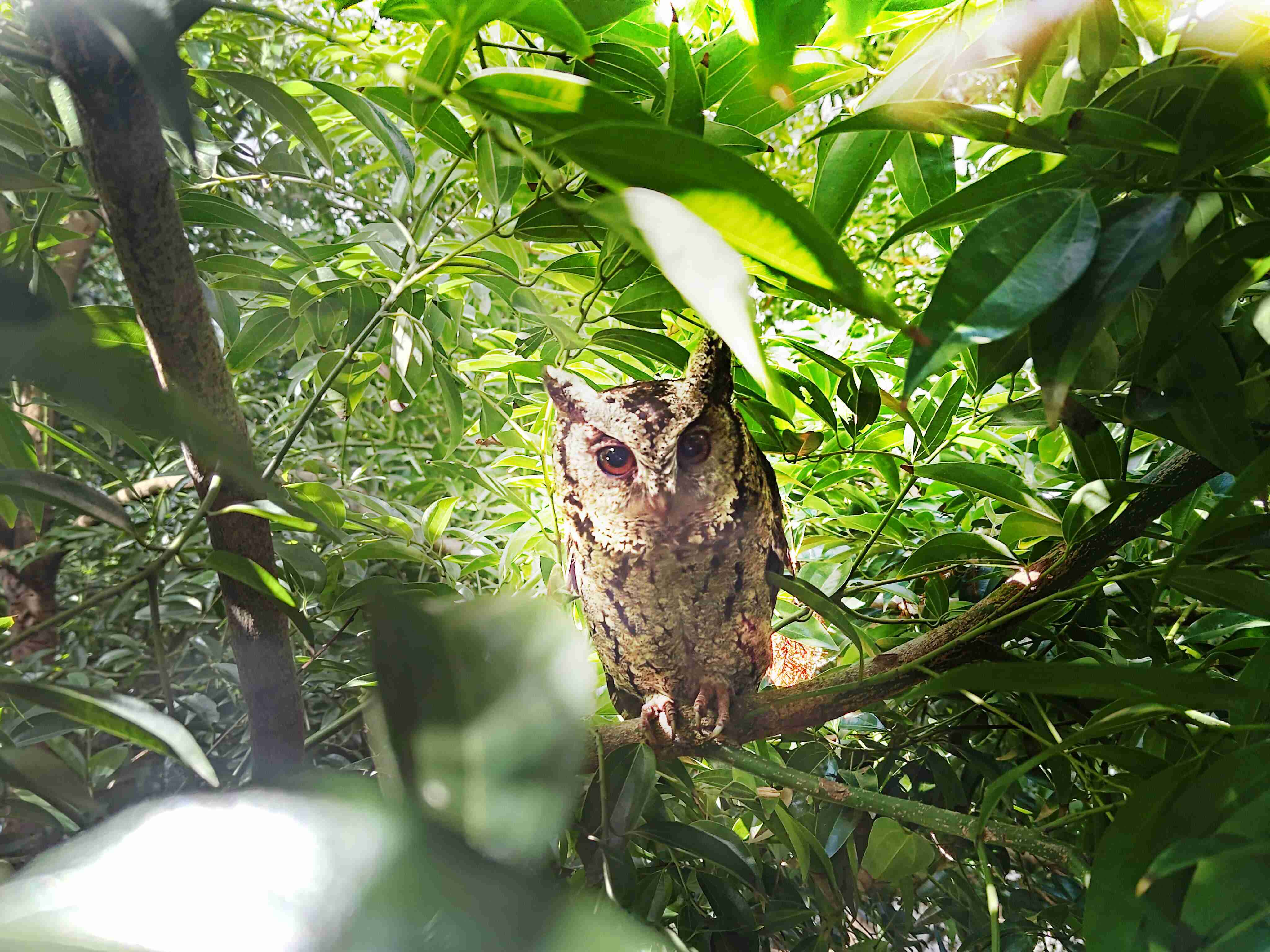 尊龙集团致力提倡净零绿生活，，，16年以来在全球各厂区植树逾百万棵，，，造就各厂区树木蔚然成林，，，犹如森林工厂，，成为许多生物的栖息地